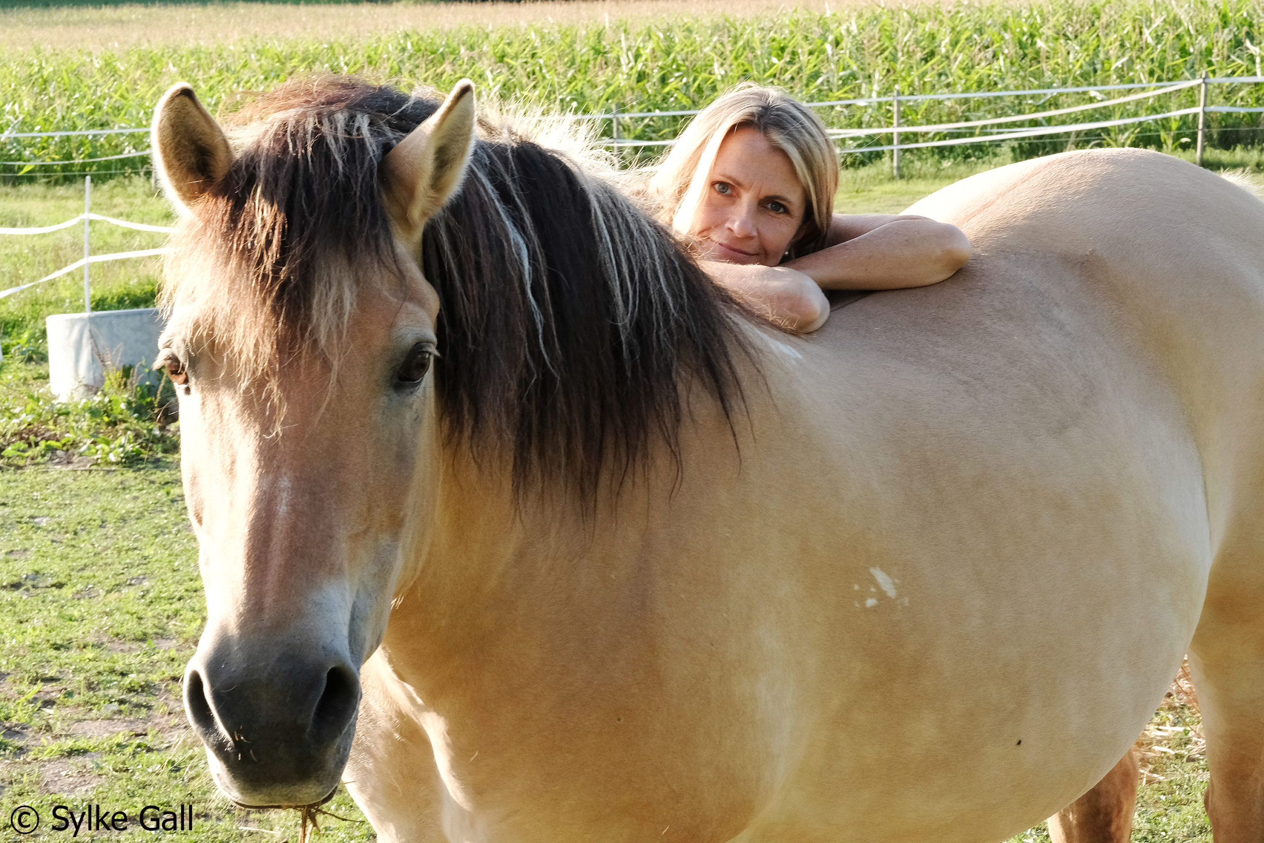 Alexandra Stross und Pferde